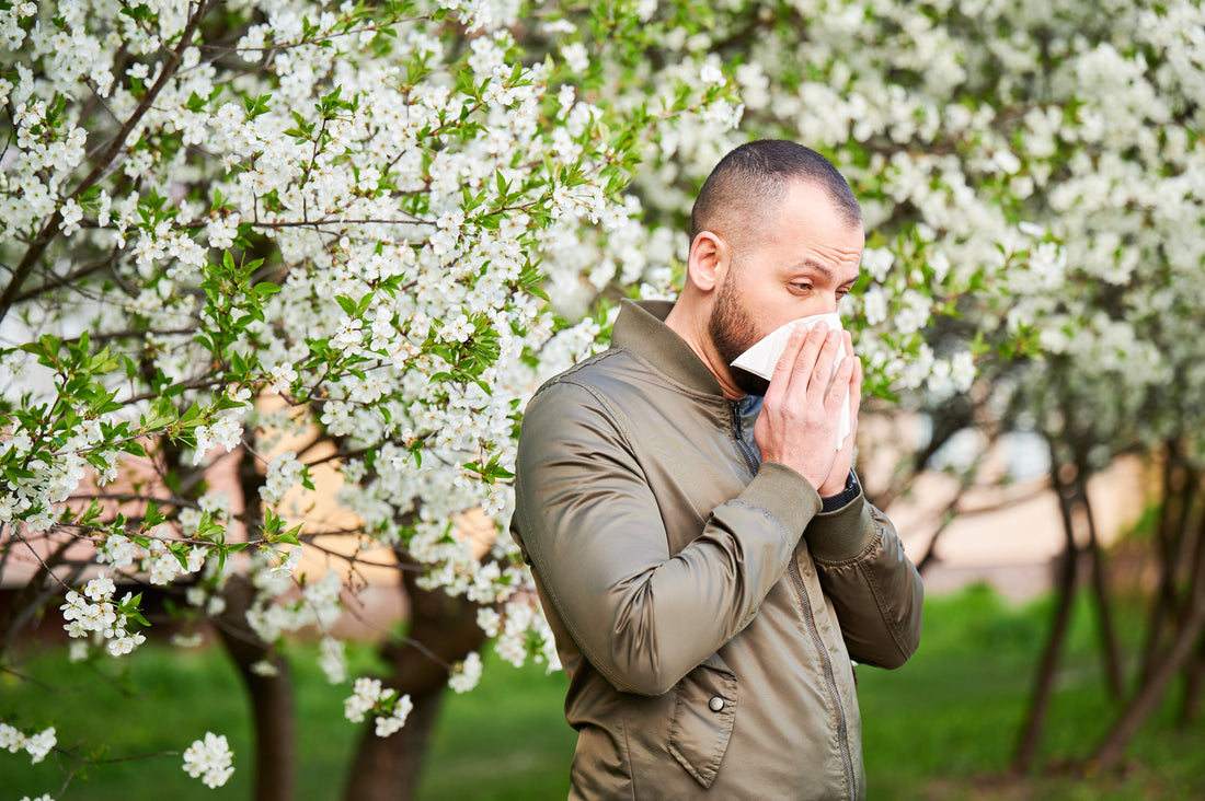 An allergic person sneezing under a blooming tree