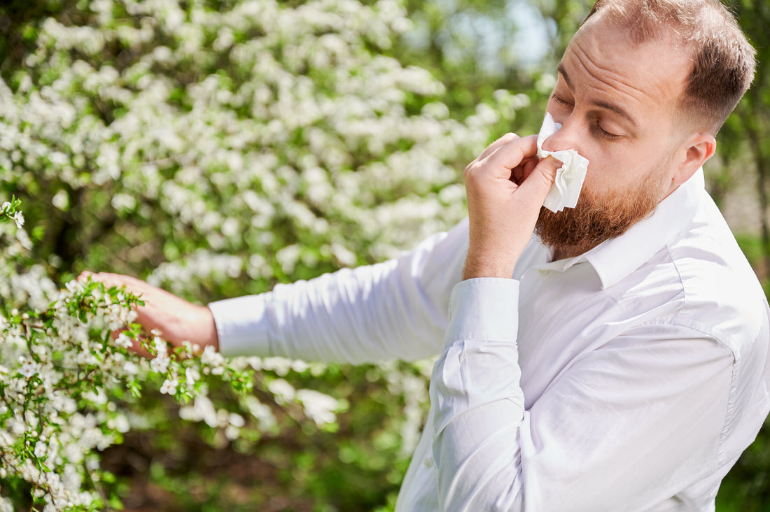 Why Do Your Airways Need Moisture During Pollen Season?