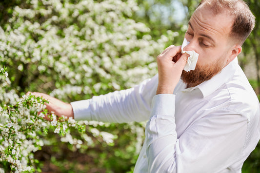 Why Do Your Airways Need Moisture During Pollen Season?