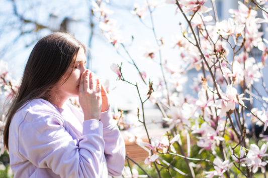 A person sneezing under a cherry tree